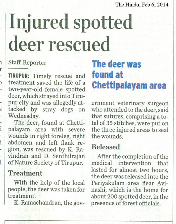 deer rescue Hindu